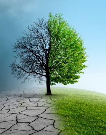 PÔLE 4 _ ENVIRONNEMENT & CHANGEMENTS CLIMATIQUES
